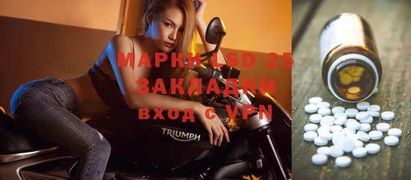 ГАЛЛЮЦИНОГЕННЫЕ ГРИБЫ Абаза