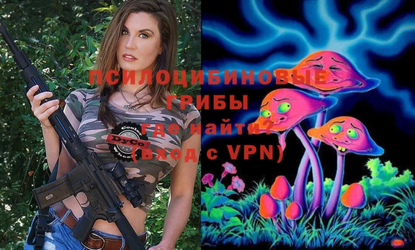 ГАЛЛЮЦИНОГЕННЫЕ ГРИБЫ Абаза