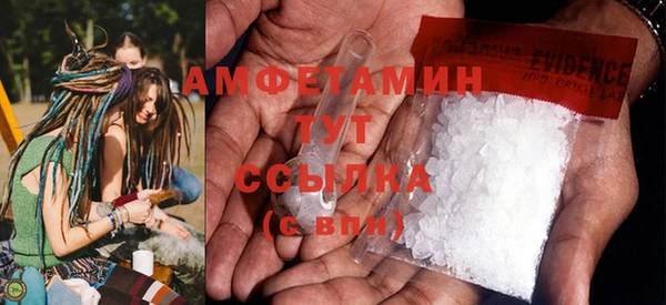 ГАЛЛЮЦИНОГЕННЫЕ ГРИБЫ Абаза