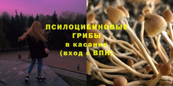 ГАЛЛЮЦИНОГЕННЫЕ ГРИБЫ Абаза